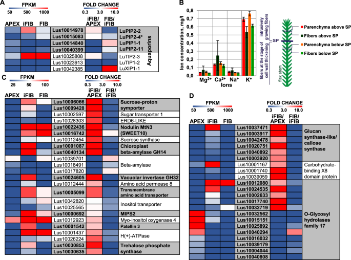 Transcriptome Analysis Of Intrusively Growing Flax Fibers Isolated By Laser Microdissection Scientific Reports
