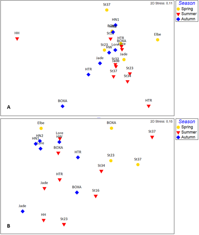 Metabarcoding Of Marine Environmental Dna Based On Mitochondrial And Nuclear Genes Scientific Reports