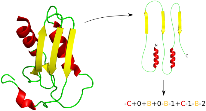main element of protein