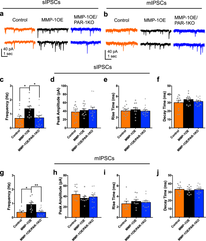 Download Free Mmp 1 Overexpression Selectively Alters Inhibition In D1 Spiny Projection Neurons In The Mouse Nucleus Accumbens Core Scientific Reports PSD Mockup Template