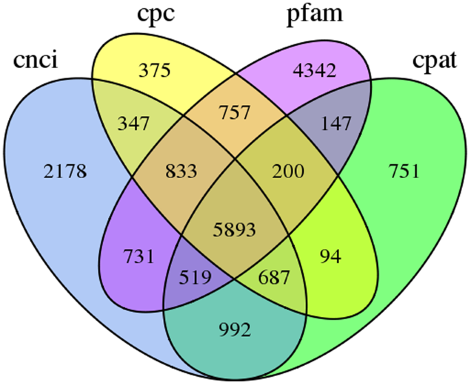 figure5