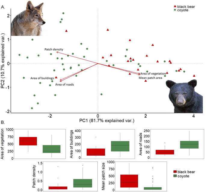 Patterns of wild carnivore attacks on humans in urban areas | Scientific  Reports