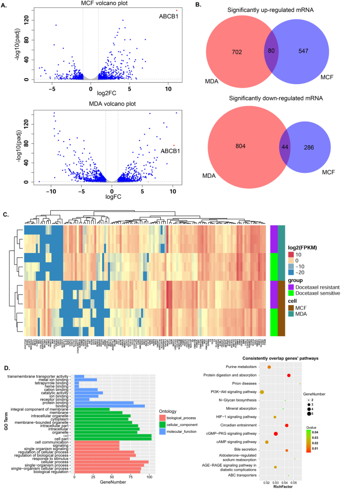 Lncrna Profile Study Reveals The Mrnas And Lncrnas Associated With Docetaxel Resistance In Breast Cancer Cells Scientific Reports