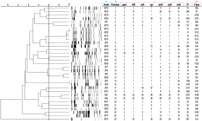Molecular Characterization Of Carbapenem Resistant Klebsiella Pneumoniae And Klebsiella Quasipneumoniae Isolated From Lebanon Scientific Reports