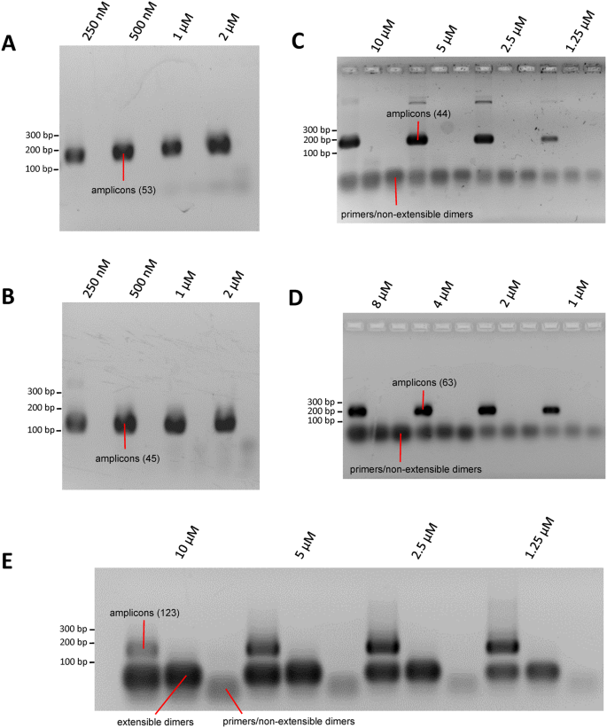 PrimerROC: accurate condition-independent dimer prediction using ROC  analysis | Scientific Reports