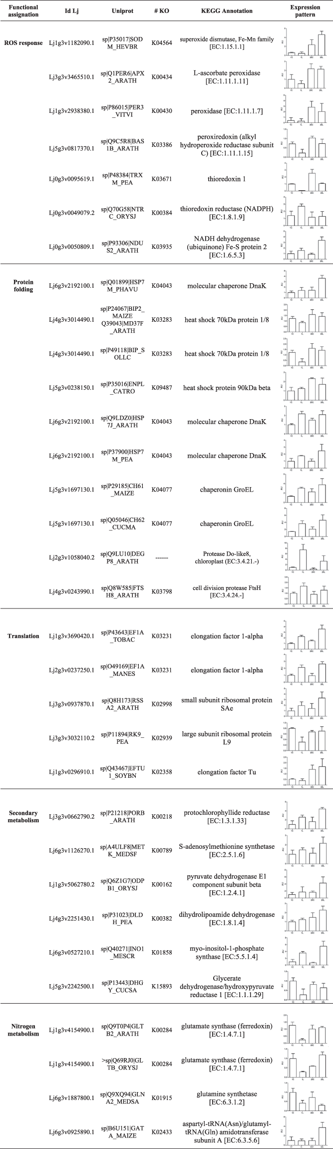 The Increase Of Photosynthetic Carbon Assimilation As A Mechanism Of Adaptation To Low Temperature In Lotus Japonicus Scientific Reports