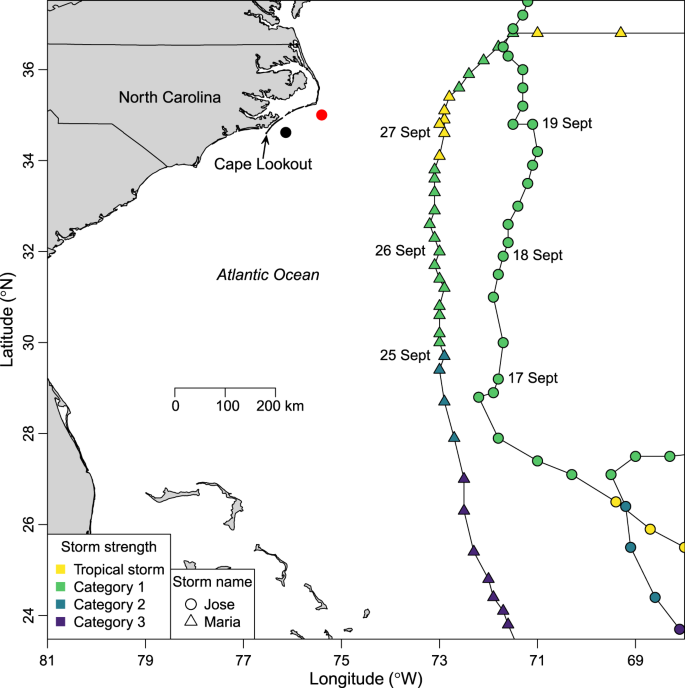 Tropical Storms Influence The Movement Behavior Of A Demersal Oceanic Fish Species Scientific Reports
