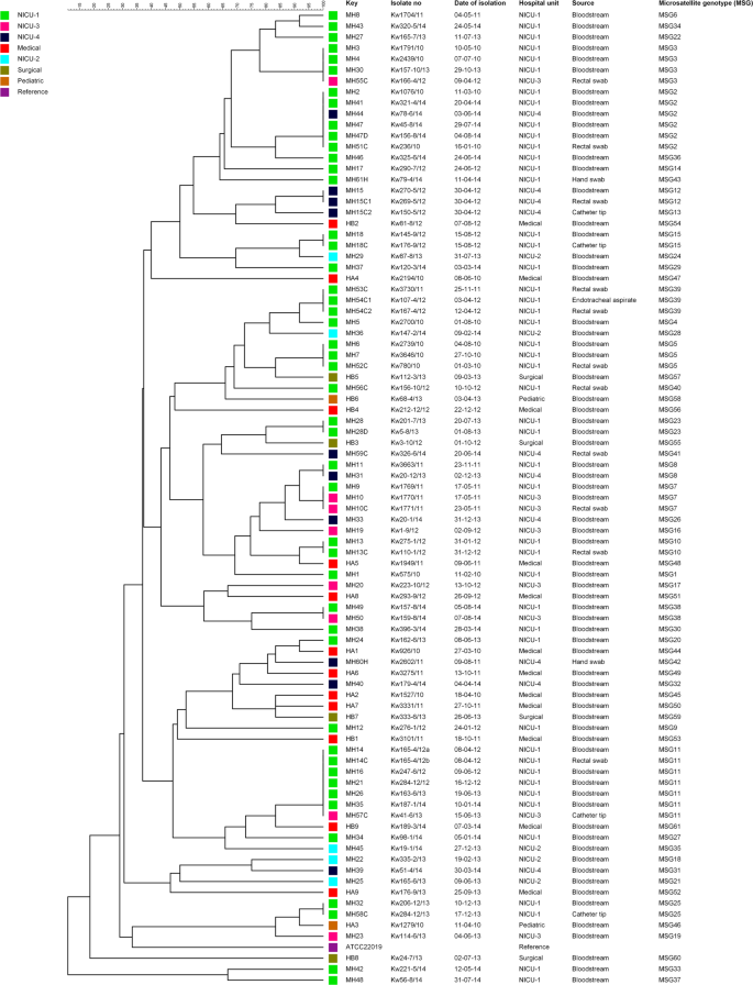 High Resolution Fingerprinting Of Candida Parapsilosis Isolates Suggests Persistence And Transmission Of Infections Among Neonatal Intensive Care Unit Patients In Kuwait Scientific Reports