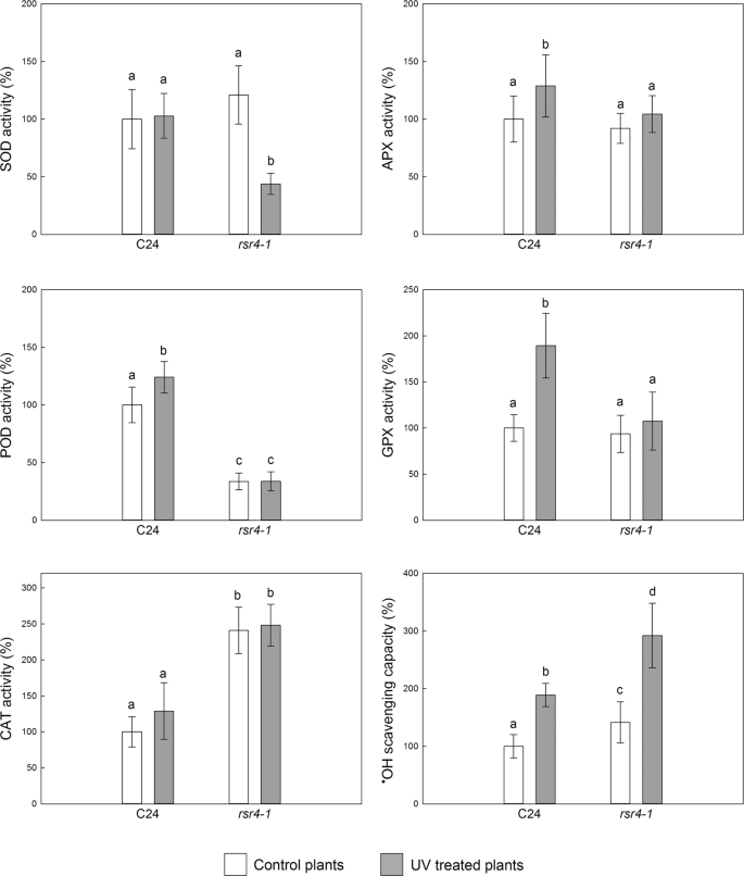 Multiple Roles For Vitamin B 6 In Plant Acclimation To Uv B Scientific Reports