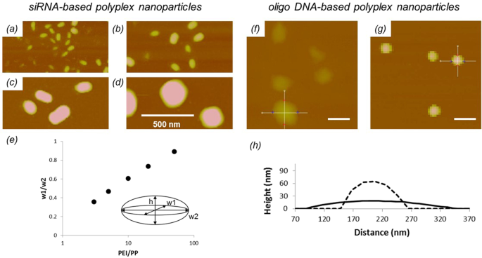 Physical Chemical Measurement Method Development For Self Assembled Core Shell Nanoparticles Scientific Reports