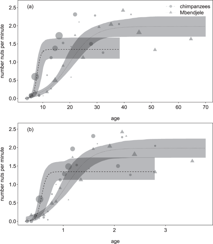 Learning curves and teaching when acquiring nut-cracking in humans and  chimpanzees | Scientific Reports