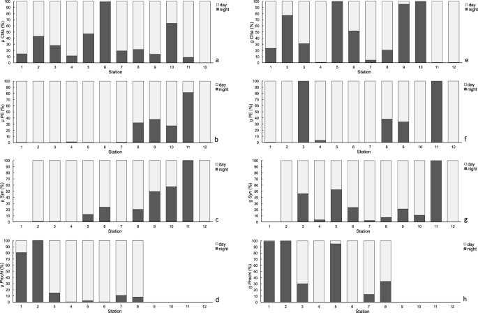 Planktonic Food Web Structure And Trophic Transfer Efficiency Along A Productivity Gradient In The Tropical And Subtropical Atlantic Ocean Scientific Reports