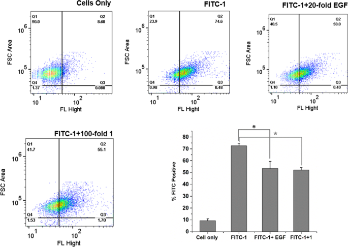 Identification of a novel peptide ligand for the cancer-specific receptor  mutation EGFRvIII using high-throughput sequencing of phage-selected  peptides