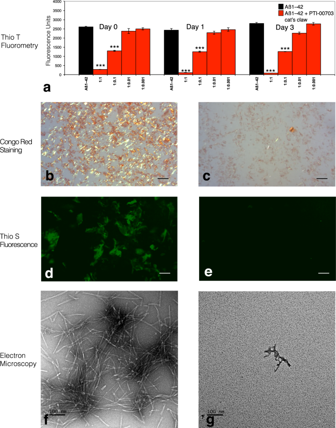 The Amazon rain forest plant Uncaria tomentosa (cat's claw) and its  specific proanthocyanidin constituents are potent inhibitors and reducers  of both brain plaques and tangles | Scientific Reports