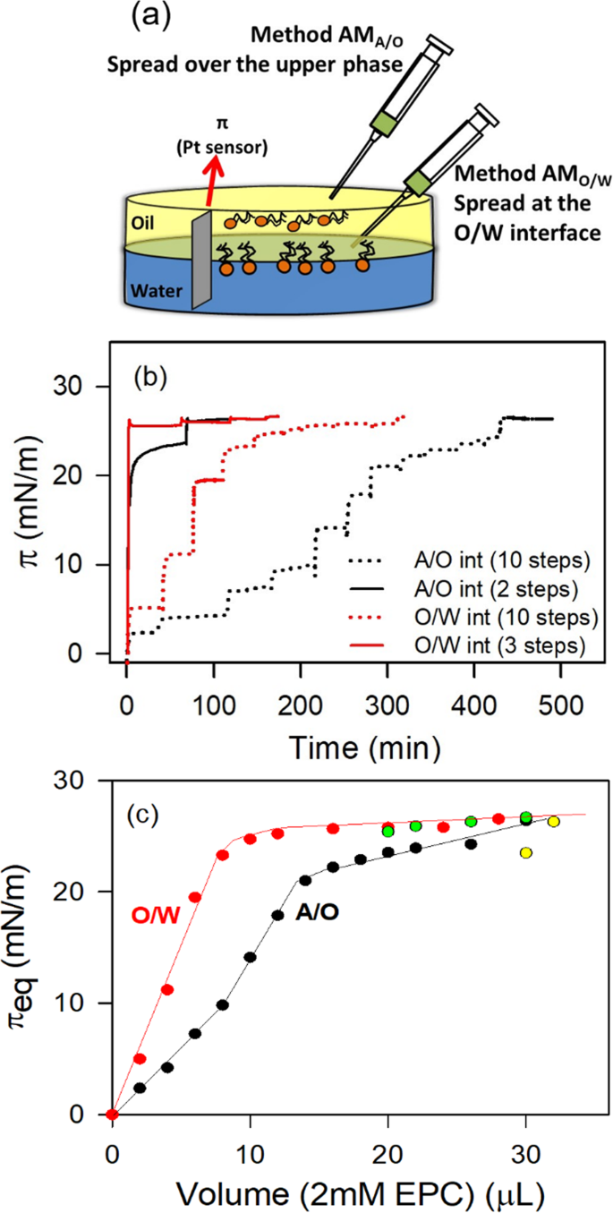 Langmuir Films At The Oil Water Interface Revisited Scientific Reports Langmuir Films At The Oil Water Interface Revisited Scientific Reports