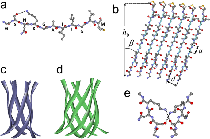 Structure Of Amyloid B 25 35 In Lipid Environment And Cholesterol Dependent Membrane Pore Formation Scientific Reports