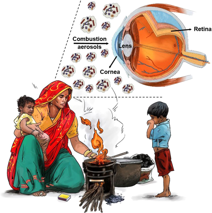 illustration of aspiration compared to inhalation From Virginia