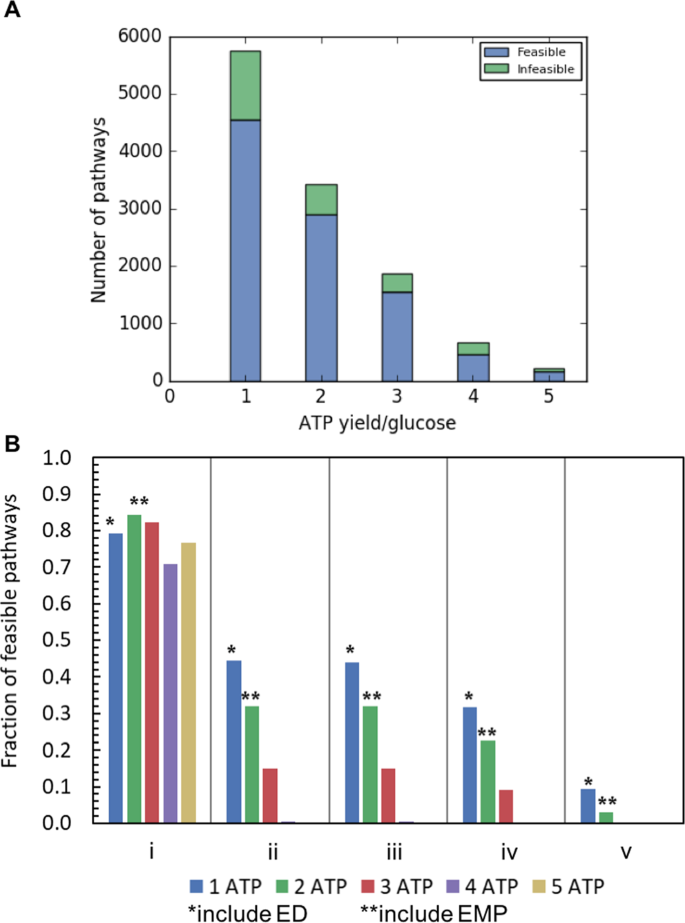 Pareto Optimality Explanation Of The Glycolytic Alternatives In Nature Scientific Reports