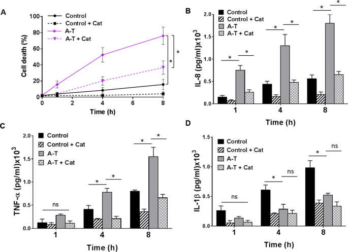 Increased Susceptibility Of Airway Epithelial Cells From Ataxia Telangiectasia To S Pneumoniae Infection Due To Oxidative Damage And Impaired Innate Immunity Scientific Reports