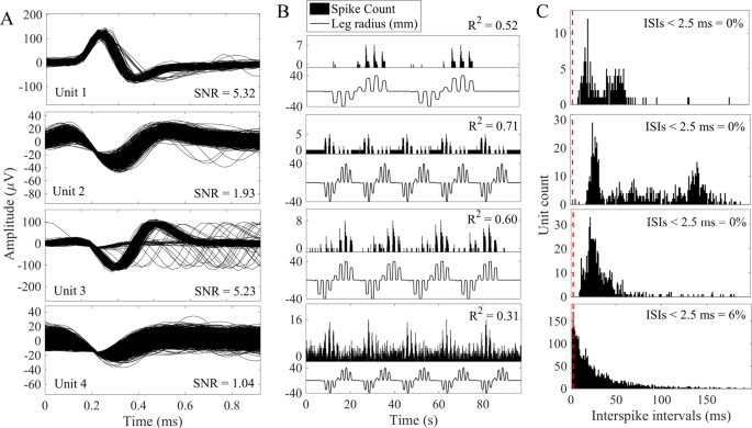 Recording single- and multi-unit neuronal action potentials from the surface of the dorsal root ganglion | Reports
