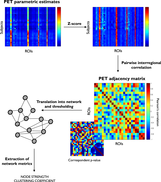 Covariance statistics and network analysis of brain PET imaging studies |  Scientific Reports