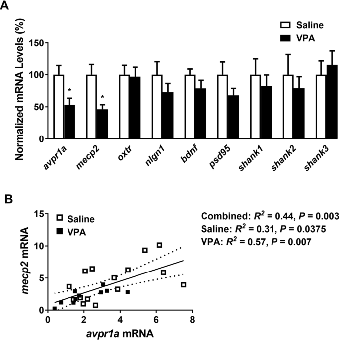 Pellen postzegel Handelsmerk Consequences of prenatal exposure to valproic acid in the socially  monogamous prairie voles | Scientific Reports