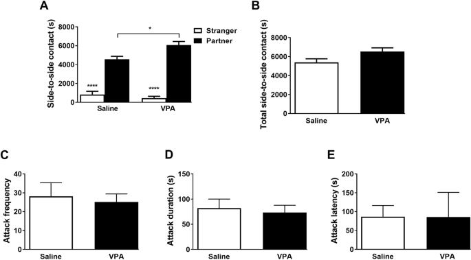 Pellen postzegel Handelsmerk Consequences of prenatal exposure to valproic acid in the socially  monogamous prairie voles | Scientific Reports