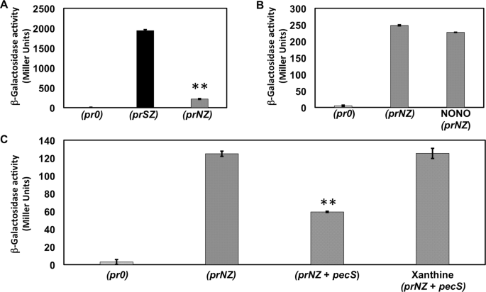 A Role For Vibrio Vulnificus Pecs During Hypoxia Scientific Reports