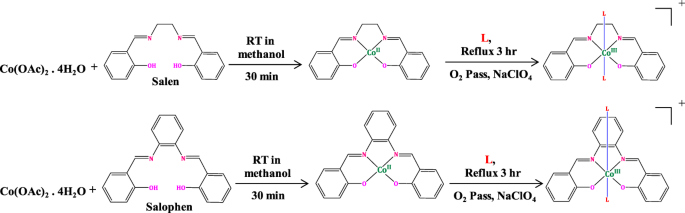 Biomolecular Interaction, Anti-Cancer and Anti-Angiogenic Properties of  Cobalt(III) Schiff Base Complexes | Scientific Reports