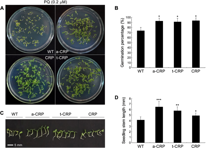 Hyper Acidic Fusion Minipeptides Escort The Intrinsic Antioxidative Ability Of The Pattern Recognition Receptor Crp In Non Animal Organisms Scientific Reports