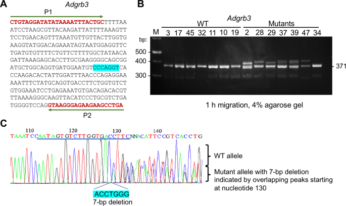 figure1