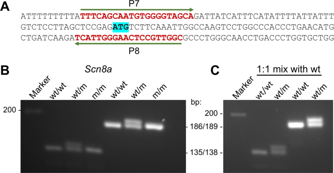 figure3