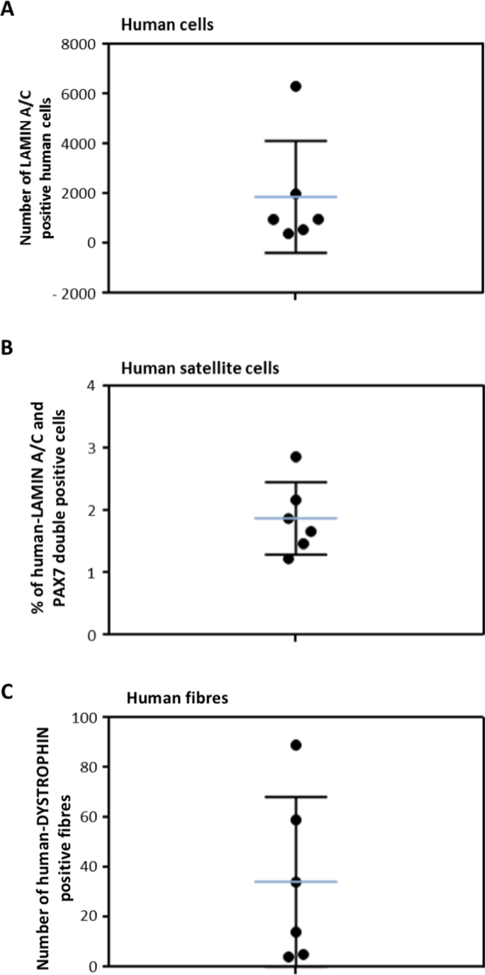 Isolation And Characterization Of Myogenic Precursor Cells From Human Cremaster Muscle Scientific Reports