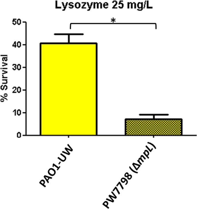 Profiling The Susceptibility Of Pseudomonas Aeruginosa Strains From Acute And Chronic Infections To Cell Wall Targeting Immune Proteins Scientific Reports Profiling The Susceptibility Of Pseudomonas Aeruginosa Strains From Acute And Chronic Infections To Cell Wall Targeting Immune Proteins Scientific Reports