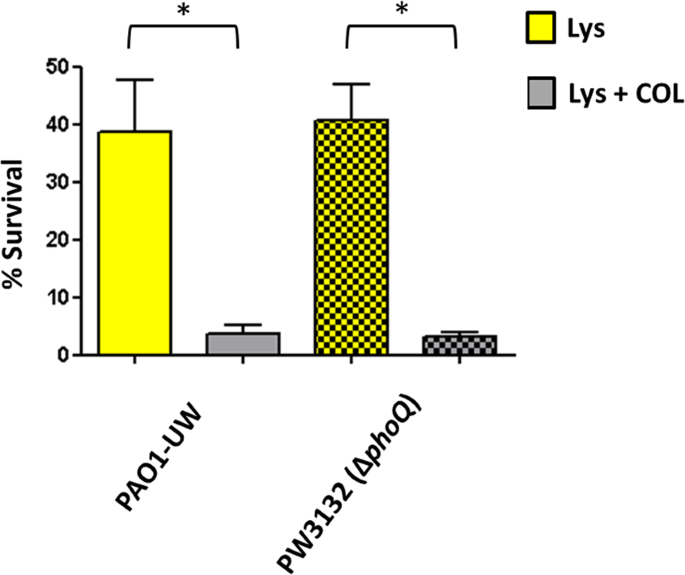Profiling The Susceptibility Of Pseudomonas Aeruginosa Strains From Acute And Chronic Infections To Cell Wall Targeting Immune Proteins Scientific Reports Profiling The Susceptibility Of Pseudomonas Aeruginosa Strains From Acute And Chronic Infections To Cell Wall Targeting Immune Proteins Scientific Reports