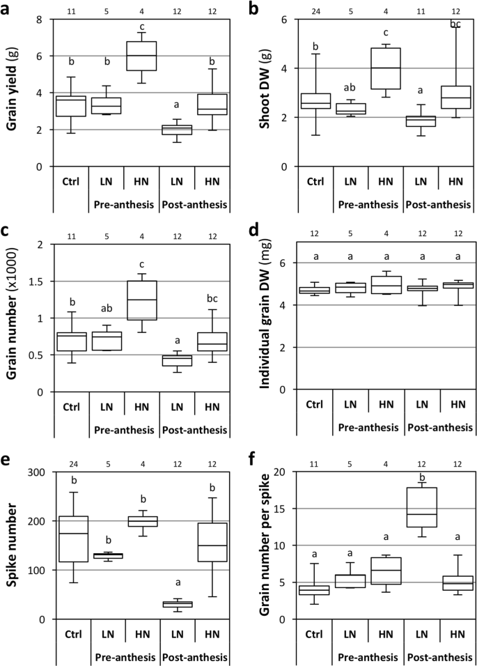 post anthesis meaning figure 2