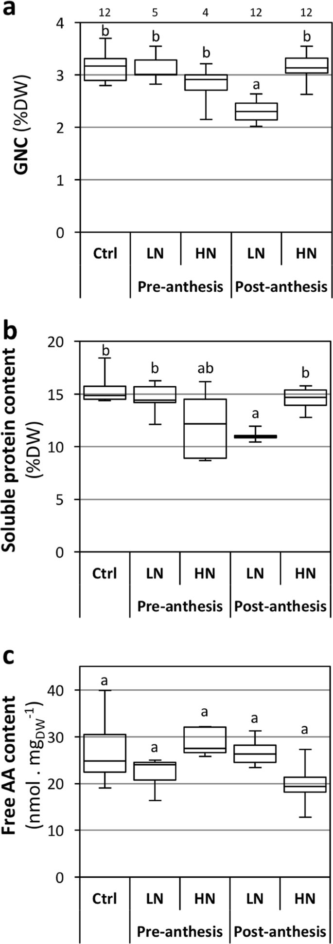 post anthesis meaning figure 3