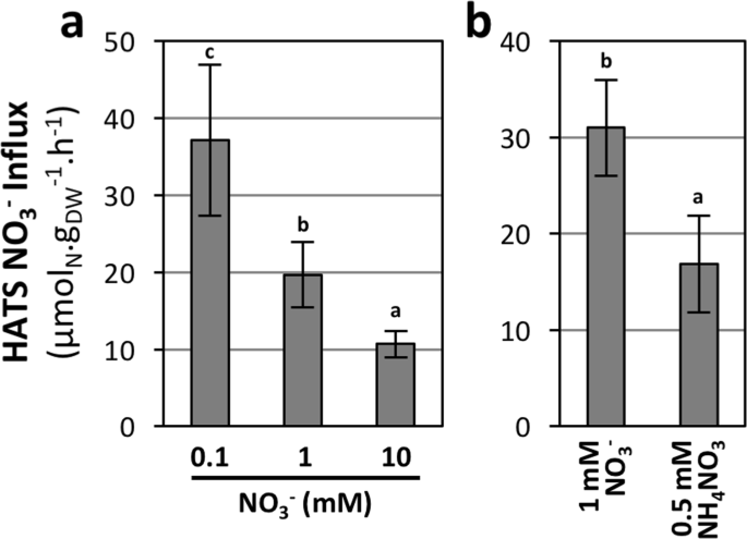 post anthesis meaning figure 7