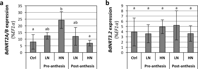 post anthesis meaning figure 9