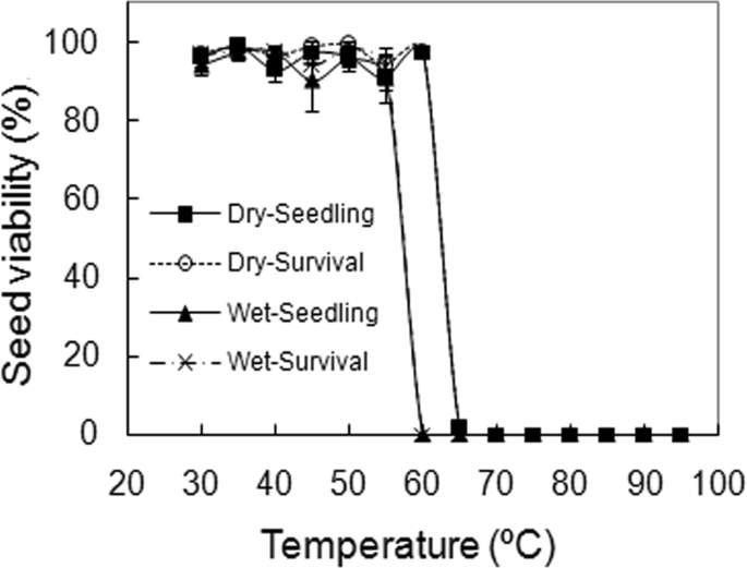 Seed Germination Ecology Of Alexandra Palm Archontophoenix Alexandrae And Its Implication On Invasiveness Scientific Reports Seed Germination Ecology Of Alexandra Palm Archontophoenix Alexandrae And Its Implication On Invasiveness Scientific Reports