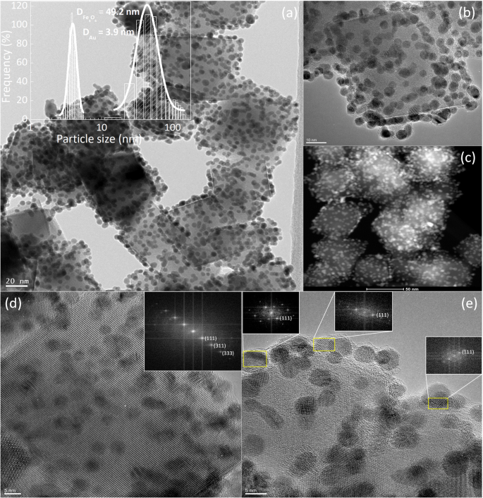 Gold Decorated Magnetic Nanoparticles Design For Hyperthermia Applications And As A Potential Platform For Their Surface Functionalization Scientific Reports