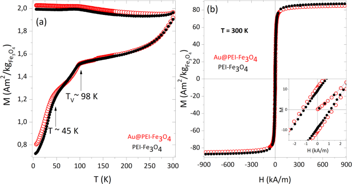 Gold Decorated Magnetic Nanoparticles Design For Hyperthermia Applications And As A Potential Platform For Their Surface Functionalization Scientific Reports