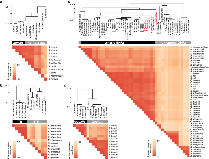 rapid identification and phylogenetic classification of diverse bacterial pathogens in a multiplexed hybridization assay targeting ribosomal rna scientific reports