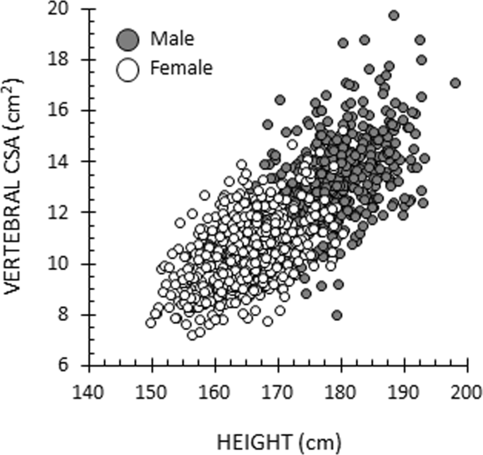 The Association Of Body Size Shape And Composition With
