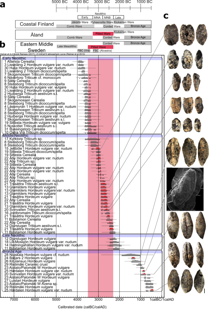 Maritime Hunter-Gatherers Adopt Cultivation at the Farming Extreme of  Northern Europe 5000 Years Ago | Scientific Reports