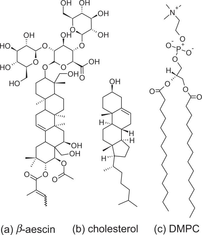 Featured image of post Dmpc Structure We use a structured program called race