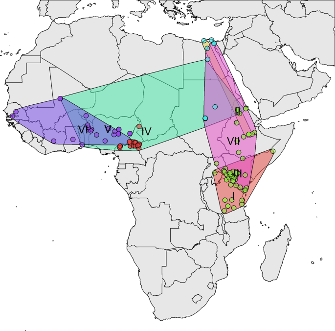 The Evolution And Phylodynamics Of Serotype A And Sat2 Foot And Mouth Disease Viruses In Endemic Regions Of Africa Scientific Reports