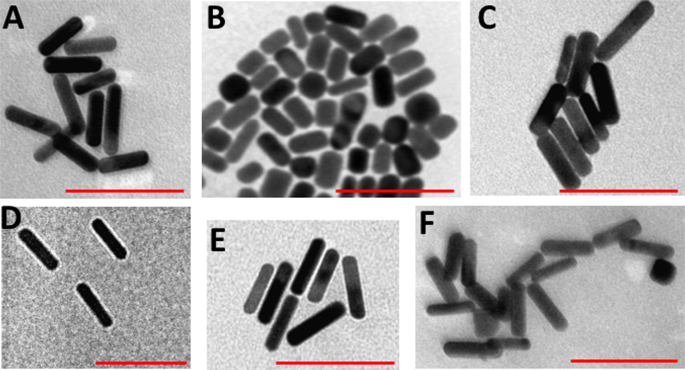 Preferential Accumulation Of Phospholipid Peg And Cholesterol Peg Decorated Gold Nanorods Into Human Skin Layers And Their Photothermal Based Antibacterial Activity Scientific Reports