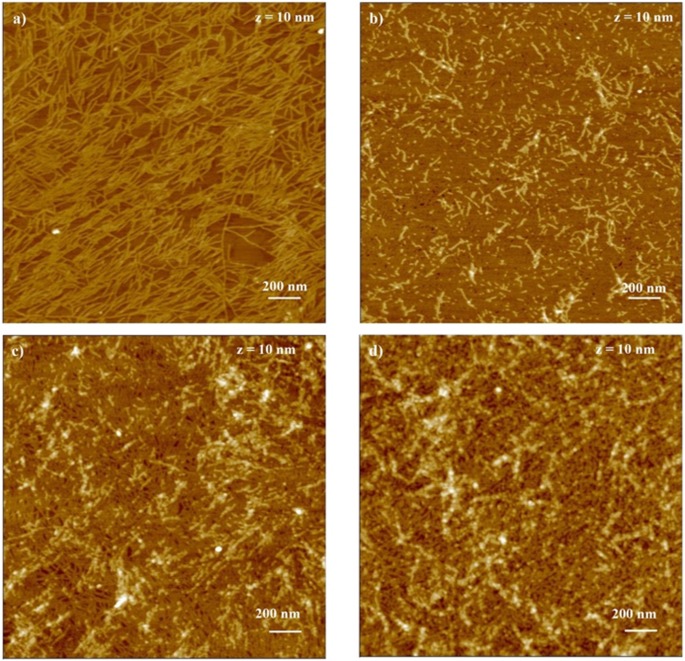 3d Synthetic Peptide Based Architectures For The Engineering Of The Enteric Nervous System Scientific Reports