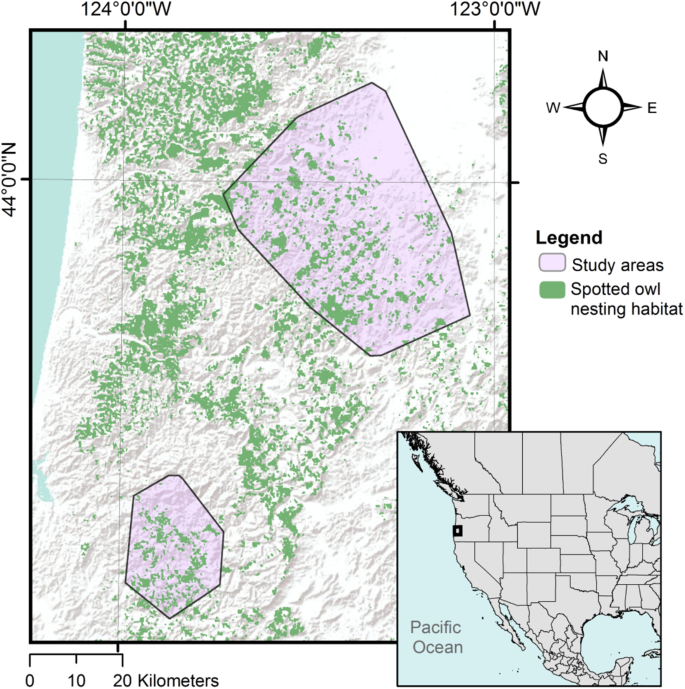 Three Dimensional Partitioning Of Resources By Congeneric Forest
